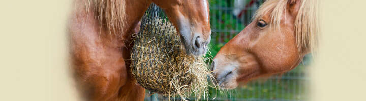 heunetz kategorieeinstiegsbanner